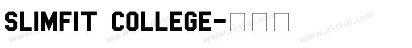 Slimfit College字体转换